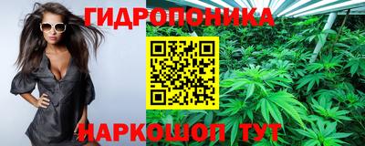 трава Можайск