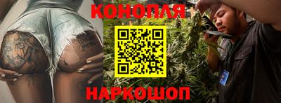 jwh Моздок