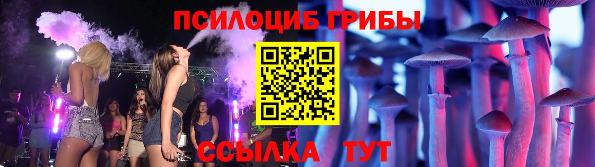 Псилоцибиновые грибы GOLDEN TEACHER Тара